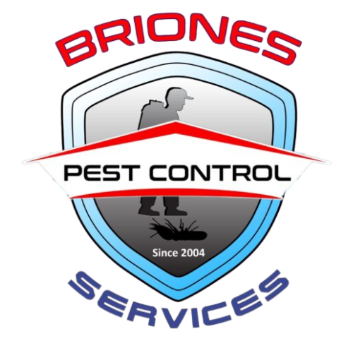 06Oct24 Anis Free Upload (31)